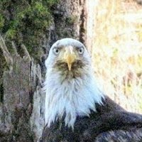 Climate Watcher 🔥🇨🇦🇬🇧 🇯🇲🌺