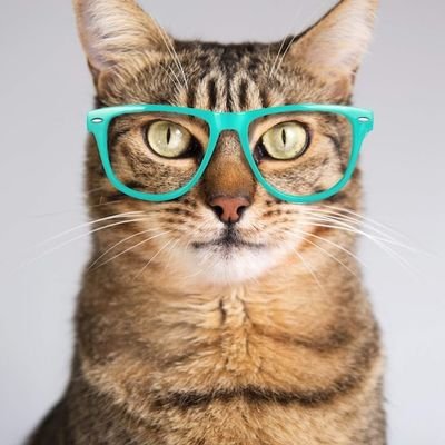 Franz #Kreiswichsverbot