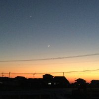 真和田まそら。