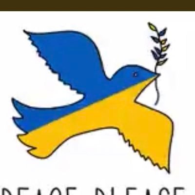 Beachbabynj ☮️ 💙 StopProject2025 🌊 I Am Voting