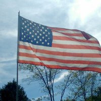 🇺🇸jellybean 🇺🇸