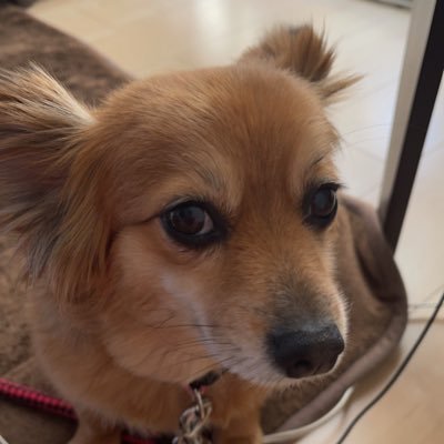 🧶なすびまん🧶💡💡💡💡