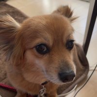 🧶なすびまん🧶💡💡💡💡