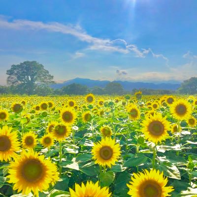 池田鬼神丸國重