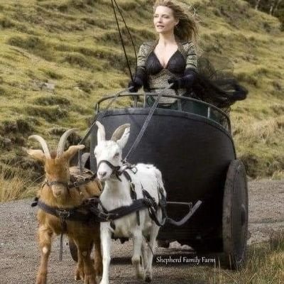 La Punk à Chèvres (qu'ils viennent me chercher)