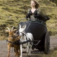 La Punk à Chèvres (qu'ils viennent me chercher)