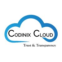 Codinix Consulting Services