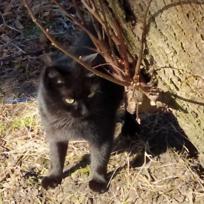 KasiaSpodLasu #Trzaskowski2025