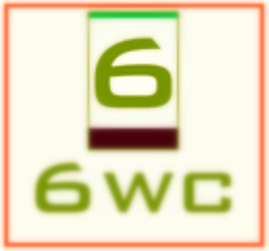 6 Week Challenge Bot