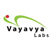 Vayavya Labs