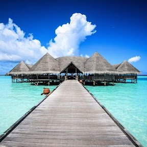 Żyj lepiej z krypto 🪂💰🌴