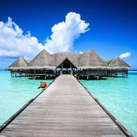 Żyj lepiej z krypto 🪂💰🌴