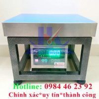 cân điện tử hoànkhôi