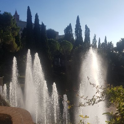 Norbert🇩🇪🇮🇹🇪🇺🏳️‍🌈🇺🇦🇨🇦