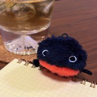 山ちゃん@生き物好き