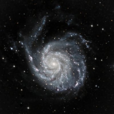 Starry Hill 🐝🇺🇦