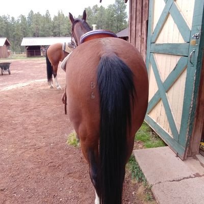 Fin Ted Cruz 🌵🌞 is 🐸