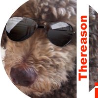 Thereason