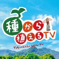 「種から植えるTV」毎週日曜お昼11時30分【テレビ東京公式】
