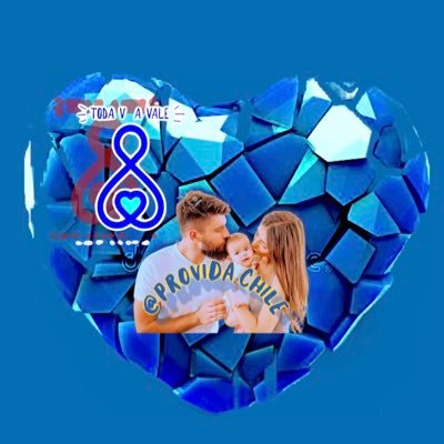 provida.chile