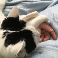 angiearts 👩‍🎨 🎨💞