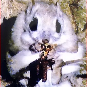 うしやトド松＠恐れ入谷の鬼子母神