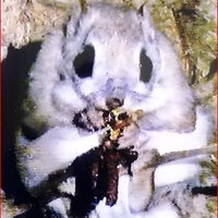 うしやトド松＠恐れ入谷の鬼子母神