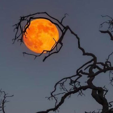 gea 💜⊙⊝⊜ ⁷ᴬᴿᴵᴿᴬᴺᴳ💜 아포방포