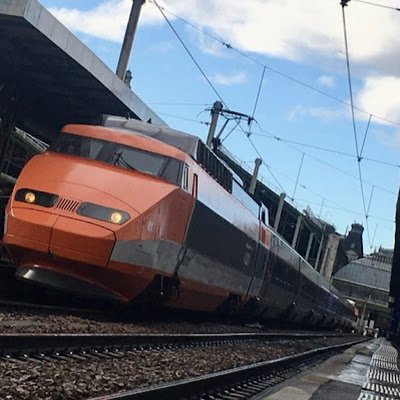 Sachat_le_Chat 🇫🇷