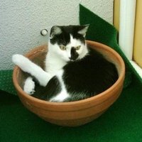 angieandcatstruelove💙🙏😻