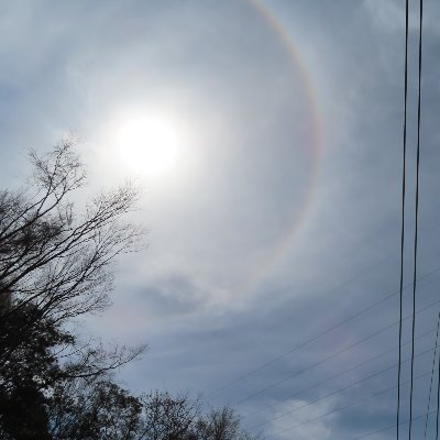 かぼす＆みかん（・かぼみ・小鳥遊　月見里・）