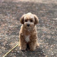 あき太💚(チームGREEN応援中)