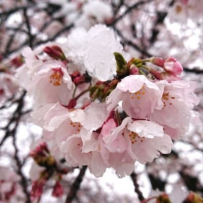 ありがとう✨☃️