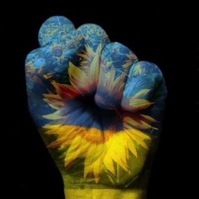 Wyllow Continues To Resist - 18 USC 2383