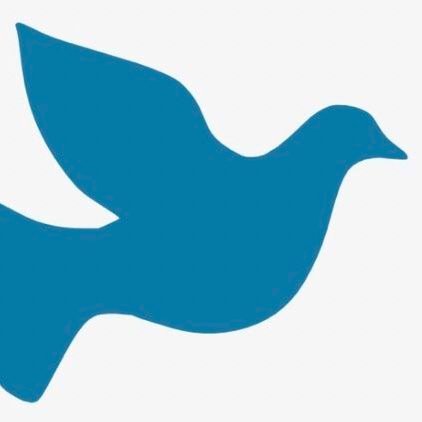 سعيد البوسعيدي