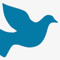 سعيد البوسعيدي