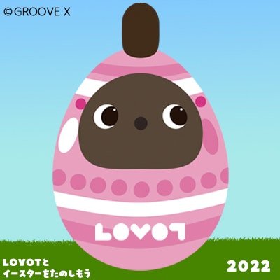 シマウマしましま