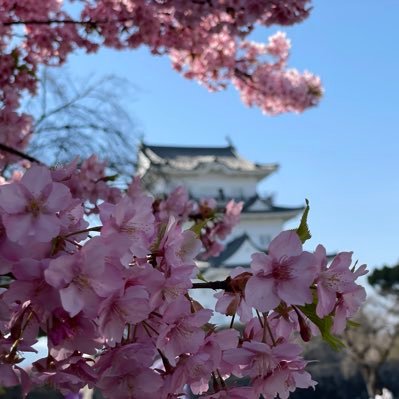 みーすー競馬&競輪🏇🚴