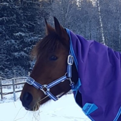 Ulla Serén 🇫🇮 🇦🇽 🇸🇪 🇺🇦 🇵🇱