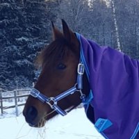 Ulla Serén 🇫🇮 🇦🇽 🇸🇪 🇺🇦 🇵🇱