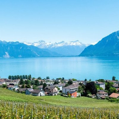 ENERGIE + ROHSTOFFE + SICHERHEIT + POLITIK