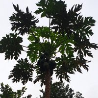 kechieu 🇩🇪🇳🇬✝️