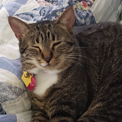 Wingsfan99..vaccinated/Boosted...Blocked by @OANN