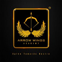 Arrow Wings Academy