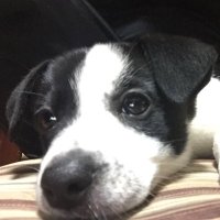 ⭐️オキナワの半袖⭐️