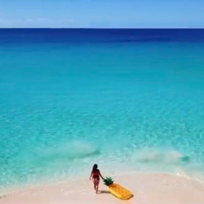 Kim 🐊🇺🇸 #Independentvoter