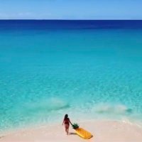 Kim 🐊🇺🇸 #Independentvoter