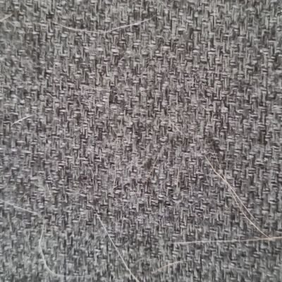 Alabama Black Snakes