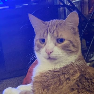 Fiction’s less believable brother