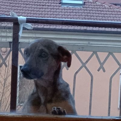 Abruzzese orgoglioso (non di Bruno Vespa)